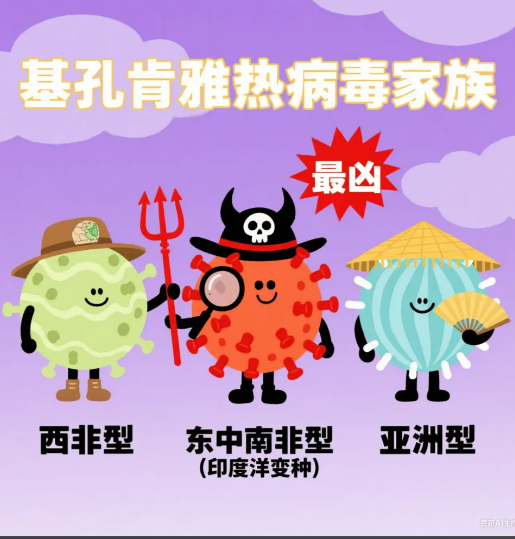 转发扩散！全市基孔肯雅热便民采样点合集→